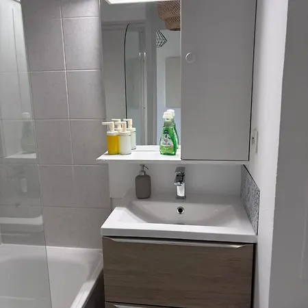 Apartman Cosy - Proche Centre Dijon