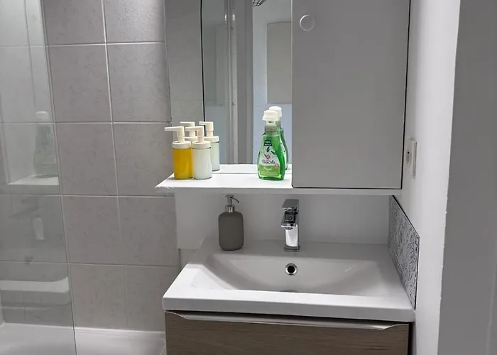 Apartman Cosy - Proche Centre Dijon