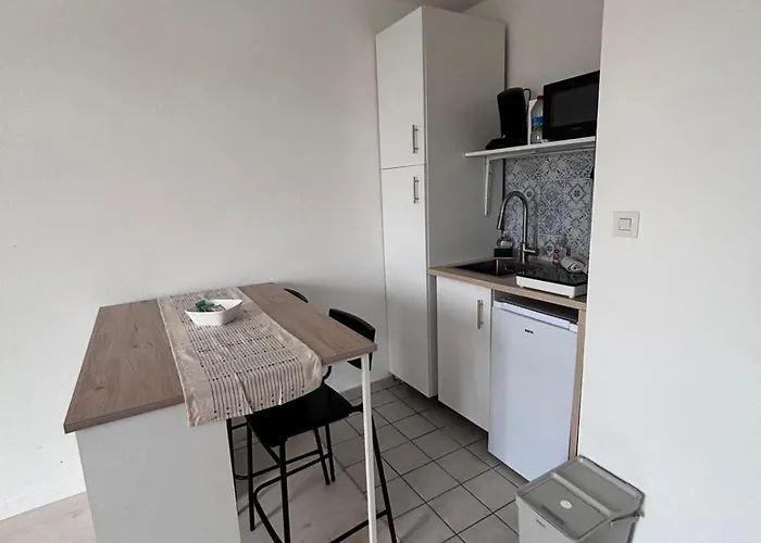 Apartman Cosy - Proche Centre Dijon